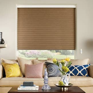 Natural Light Filtering Sheerlux Shade