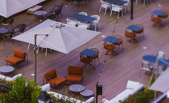 Professional Management &amp;Development