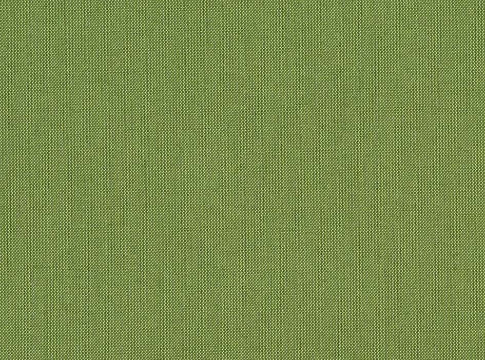 Color Spectrum Cilantro