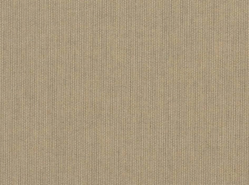 Color Spectrum Mushroom